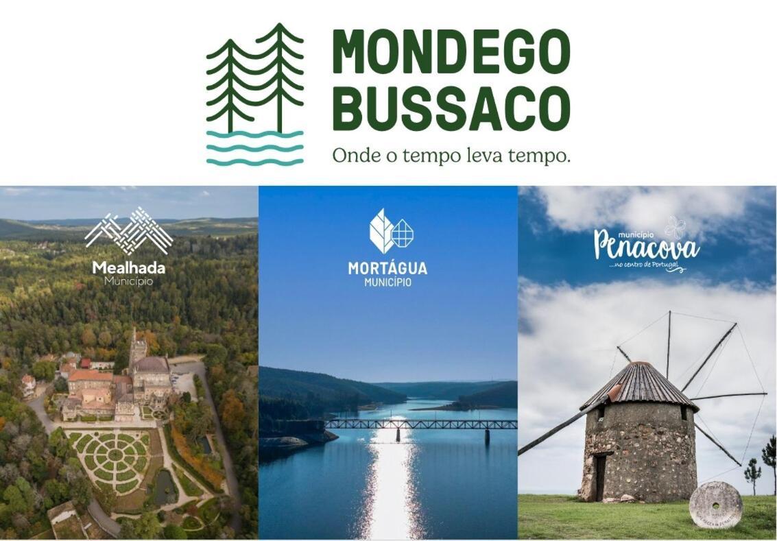 Mimosa Village - Turismo De Natureza Mortagua Luaran gambar
